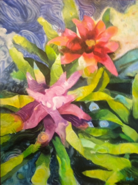 Click here to view Phil's Bromeliads by Jim Parks