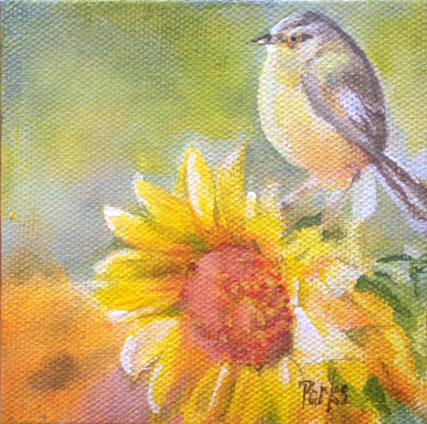 Click here to view Bird #8 Titmouse and Sunflower by Jim Parks