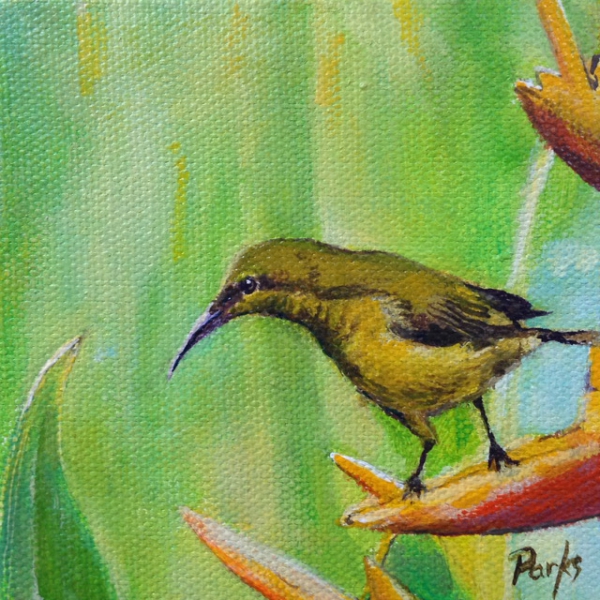 Bird #10, Little Picker by Jim Parks