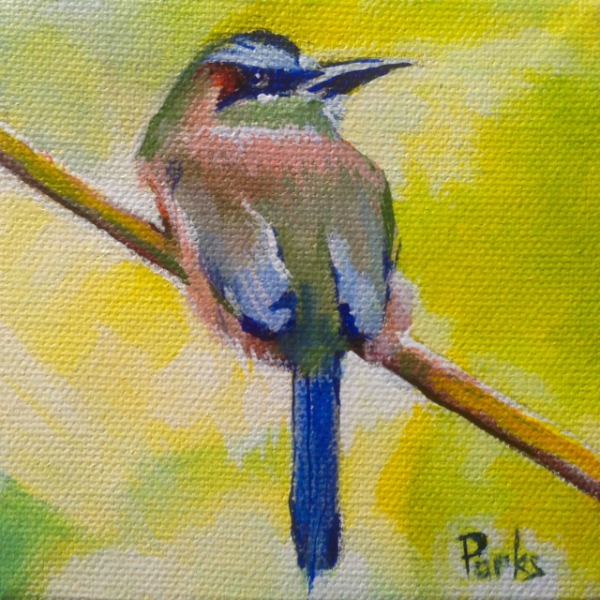 Click here to view Bird #14, Blueboy by Jim Parks