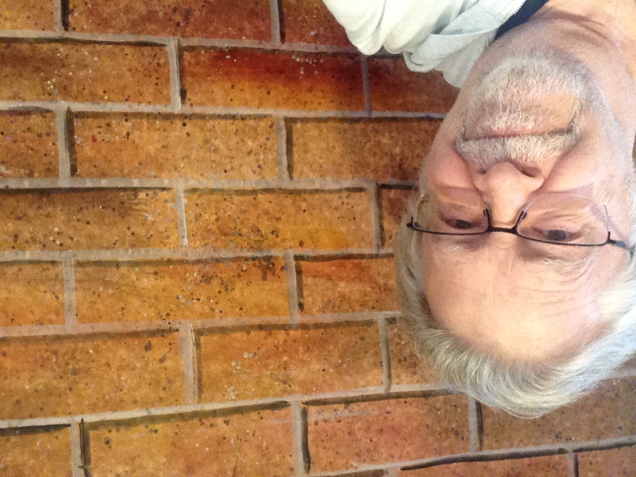 Click here to view Brick Wall (and Me) by Jim Parks