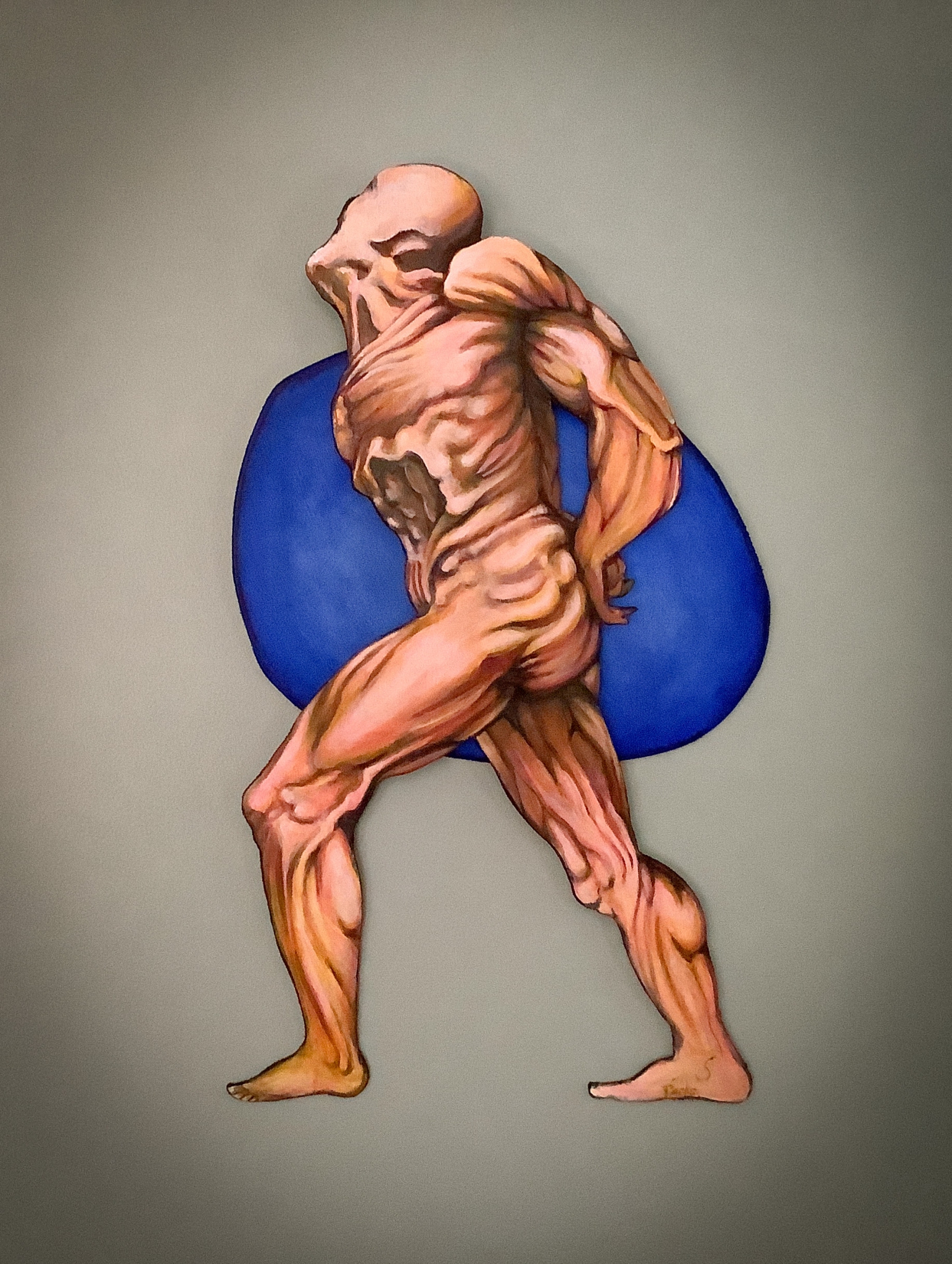Classical Anatomy by Jim Parks
