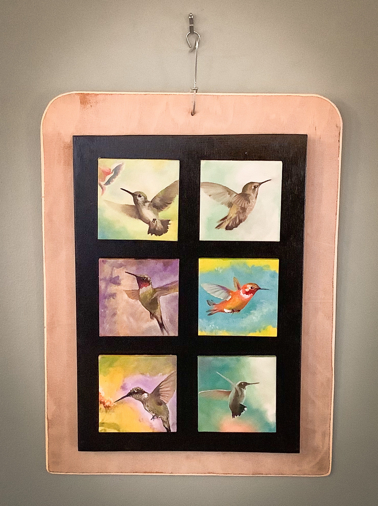 Hummingbird Collection #1 by Jim Parks